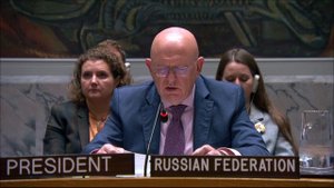 Statement by Vassily Nebenzia at UNSC Briefing on the Central African Republic