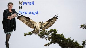 Мечтай и реализуй.  Почему тебе стоит это знать.