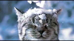 С наступившим ноябрем. Музыкальная открытка поздравление.