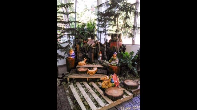 Доминикана. Пуэрто-Плата. 12. 2017г.