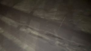 Облёт ЛЕБЕДЕЙ / Фотосессия сына / Признание на снегу