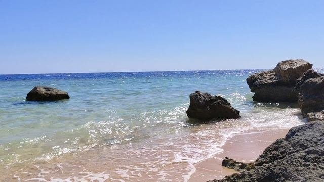 20251025_120003 sharm