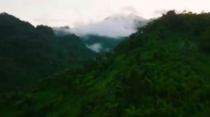 Flauta De Pan Instrumental