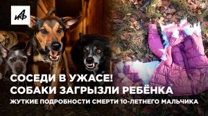 Соседи в ужасе! Собаки загрызли ребёнка. Жуткие подробности смерти 10-летнего мальчика