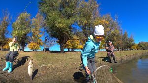 ЧЕРВЯ НАСАДИЛА, КАРАСЯ ПОТАЩИЛА. РЕБЁНОК НА РЫБАЛКЕ. Осенняя рыбалка на донную удочку.