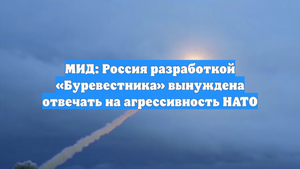 МИД: Россия разработкой «Буревестника» вынуждена отвечать на агрессивность НАТО