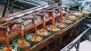 Производство томатных рыбных консерв. Завод Пролив 1873 Керчь Крым заглянем как это происходит