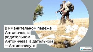 Фамилия Антоничев: исследуем происхождение, историю и значения, а также правильное склонение