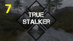 Прохождение S.T.A.L.K.E.R True Stalker. Часть 7