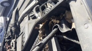 share KU30S-WBAKU220400P55218