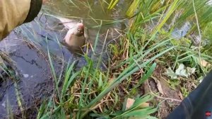 Рыбалка на донки осенью 2025. Все вернулись домой с уловом.