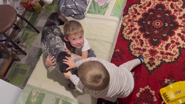 Семейные посиделки в деревне. Большая семейка в Миролюбии.