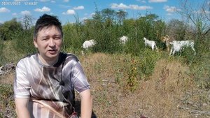 Почтенный пастырь коз