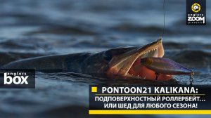 Pontoon21 Kalikana: подповерхностный роллербейт… или шед для любого сезона! Anglers Box