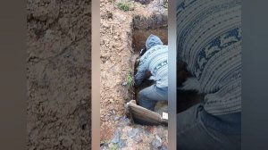 У нас печаль и слезы сегодня/ Графа больше нет.😔😭