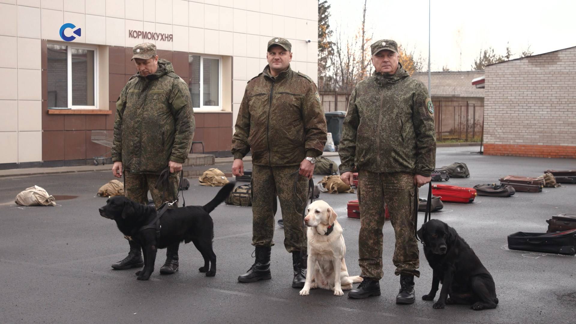 В Петрозаводске прошёл чемпионат по многоборью со служебными собаками