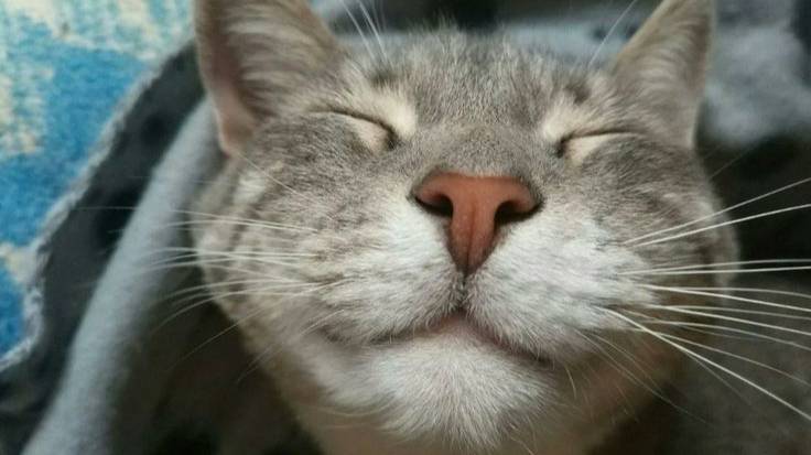 Я СЫГРАЛ ВО ВСЕ ОФФИЦИАЛЬНИЫЕ МИНИ ИГРЫ В BLOXD.IO ч.1 смотреть онлайн