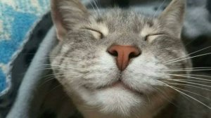 Я СЫГРАЛ ВО ВСЕ ОФФИЦИАЛЬНИЫЕ МИНИ ИГРЫ В BLOXD.IO ч.1