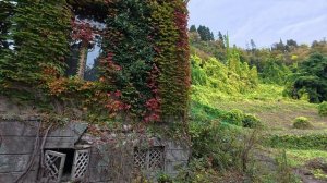 Новый Афон в поисках осени -1 30.10