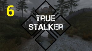 Прохождение S.T.A.L.K.E.R True Stalker. Часть 6