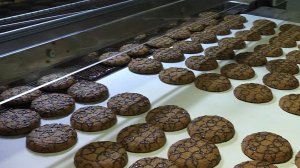 "Сладкодаров". Достояние губернии