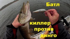 Батл. Киллер против Динго. Поиски собраний щуки.