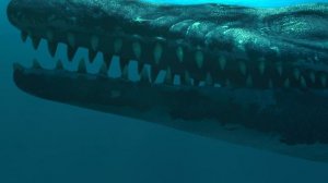 юрмкий период 5.1