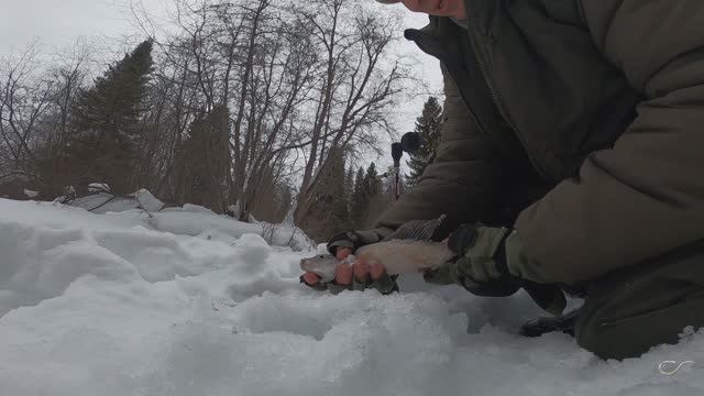 ловля хариуса зимой на муху