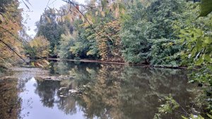 ВОРОБЬЕВЫ ГОРЫ.  ПРУД. ОСЕНЬ