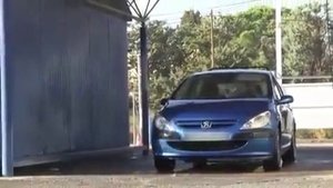 Голубь на автомойке