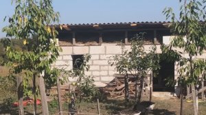 Как мы строили курятник