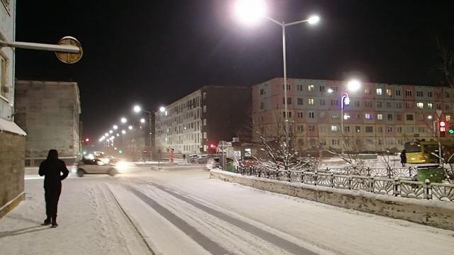 2025.10.29. Норильск. В городе первые -16. На лиственницах ещё остались иголки.