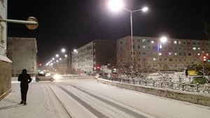 2025.10.29. Норильск. В городе первые -16. На лиственницах ещё остались иголки.