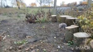 ДОМАШНИЕ ДЕЛА, ГАТОВИМСЯ К ЗИМЕ