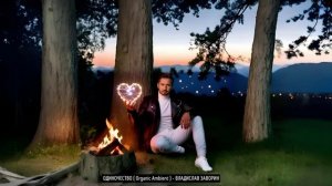 ОДИНОЧЕСТВО ( Organic Ambient ) - ВЛАДИСЛАВ ЗАВОРИН