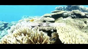 Ferry Corsten presents Gouryella - Anahera ( MIX DJ. KEND@R)