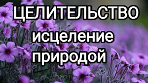 Исцеление природой! #серафимсаровский