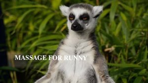 МАССАЖ ПРИ НАСМОРКЕ | 𝐌𝐀𝐒𝐒𝐀𝐆𝐄 𝐅𝐎𝐑 𝐑𝐔𝐍𝐍𝐘