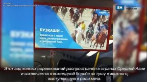В автобусах Владимира показали сюжет о бузкаши - игре с тушей козла