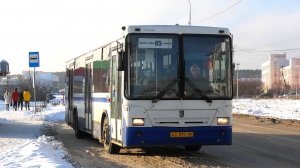 Автобус НефАЗ-5299-20-32 бор. №1041 маршрут №85 на остановке "Поселок Мичуринский"