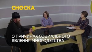Стоит ли заводить большую семью в наше время| Сноска