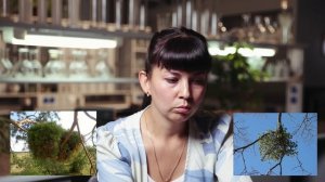 Мутации лесных и декоративных растений. Анна Локтева («Маяк научных открытий» #30)