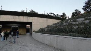 29=10=2025  КРАСНОДАР.  ПАРК  С.  ГАЛИЦКОГО . ОСЕНЬ.  (266)