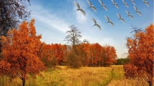 Отговорила роща золотая