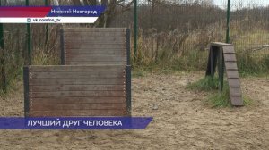 Социальные участковые посодействовали созданию площадки для выгула собак на улице Космической