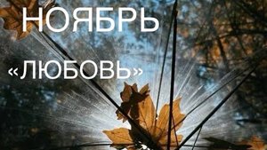 ОНЛАЙН-ПРОГНОЗ НА НОЯБРЬ ЛЮБОВЬ 2025