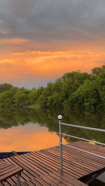 Звуки живой природы для сна смотреть онлайн