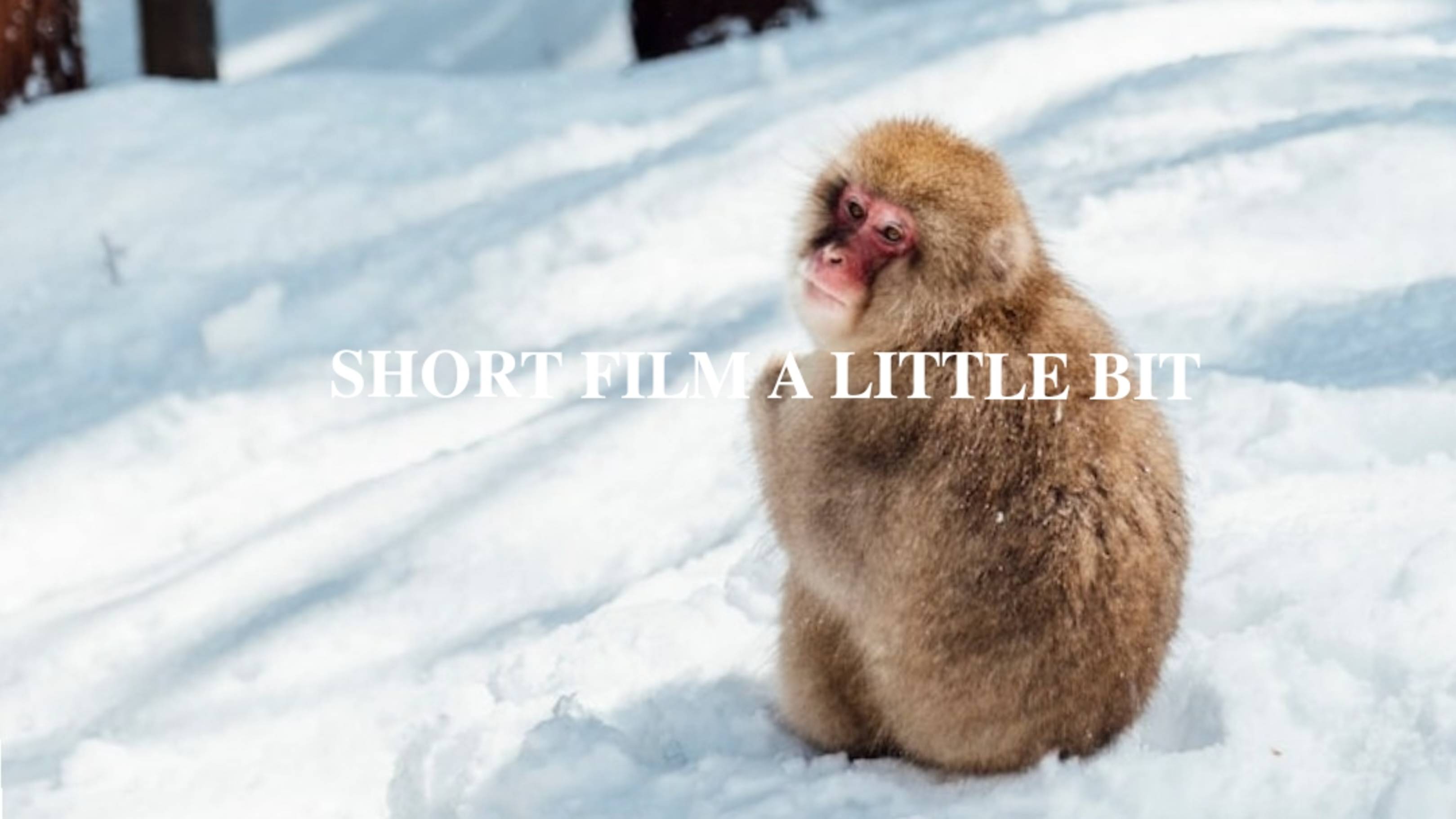 КОРОТКОМЕТРАЖНЫЙ ФИЛЬМ "ЧУТЬ - ЧУТЬ" | 𝐒𝐇𝐎𝐑𝐓 𝐅𝐈𝐋𝐌 𝐀 𝐋𝐈𝐓𝐓𝐋𝐄 𝐁𝐈𝐓 🏀
