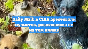 Daily Mail: в США арестовали нудистов, раздевшихся не на том пляже