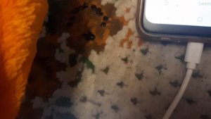 Музыкальная студия